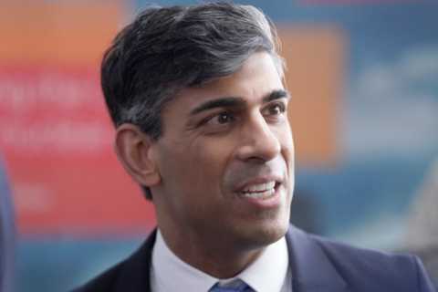 Rishi Sunak calls for £20 billion in savings from public services