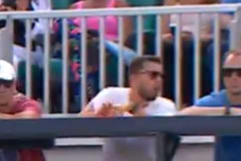 Jannik Sinner Accidentally Hits Physio in Groin with Tennis Ball