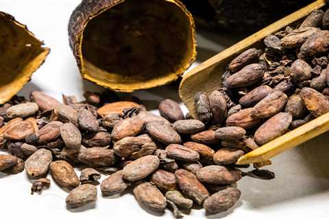 Experts warn cheap chocolate era 'is over' as global cocoa shortage sends prices soaring