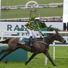 Grand National Winner I Am Maximus Tipped as 'Best this Century' by Experts