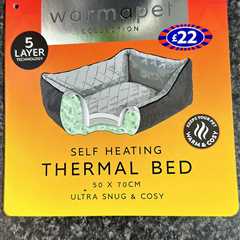 Dog Owners Rush to B&M for Bargain Self-Heating Dog Bed Deal