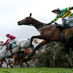 Controversy Surrounding the Grand National - A Closer Look