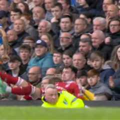 Former Liverpool Star, Neco Williams, Falls into Everton Crowd