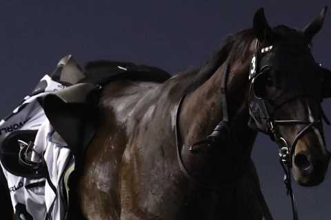 Christophe Lemaire Forced to Stay in Dubai After Puncturing Lung in Fatal Fall