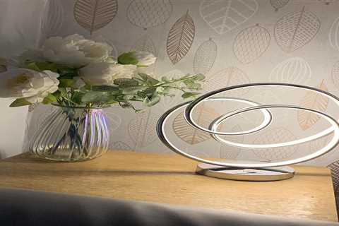 Savvy Shopper Snags Bargain Lamps at Dunelm Clearance Sale