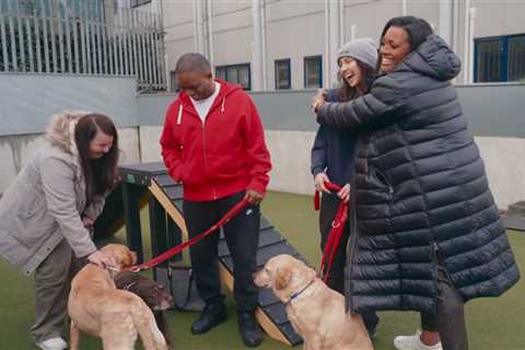 Alison Hammond faces backlash as For The Love of Dogs ratings drop compared to late Paul O’Grady