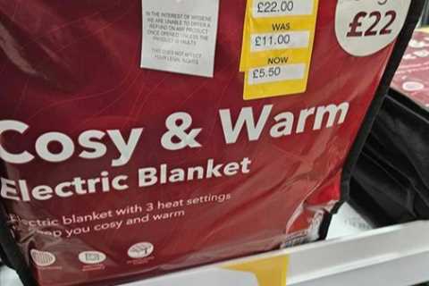 Dunelm shoppers go wild for £5.50 energy-saving gadget