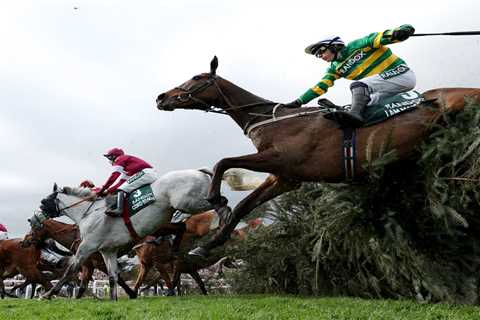 Controversy Surrounding the Grand National - A Closer Look