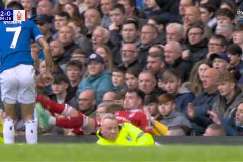 Former Liverpool Star, Neco Williams, Falls into Everton Crowd