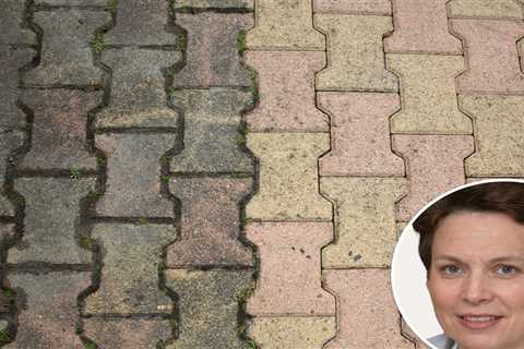 Expert reveals simple 65p hack to remove moss from your patio without scrubbing