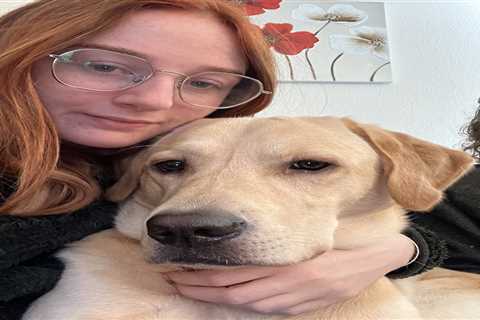I’ve saved over £6,000 with an easy budgeting trick – it’s my emergency fund and better value than..