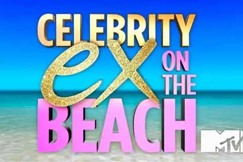 Celeb Ex On The Beach Fans Beg Former Couple to Reconnect