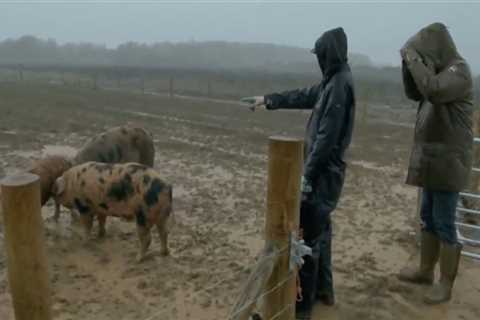 Jeremy Clarkson's Farm Fans in Stitches Over Hilarious Discovery
