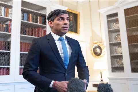 Why Rishi Sunak Called a Snap Election in Just Weeks
