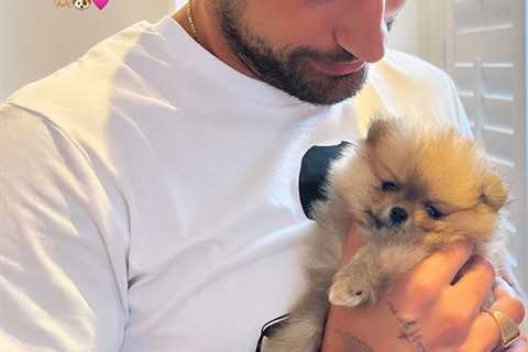 Giovanni Pernice and Molly Brown Share Sweet Moment with New Puppy Amid Strictly Controversy