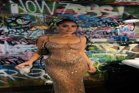 Benidorm's Laila Zaidi stuns in daring see-through dress