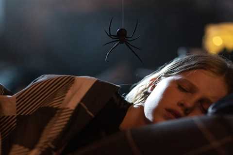 Low-Budget Horror Review: Sting Takes a Bite out of Comedy and Chills