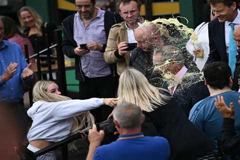 Labour-supporting OnlyFans model arrested for throwing milkshake over Farage