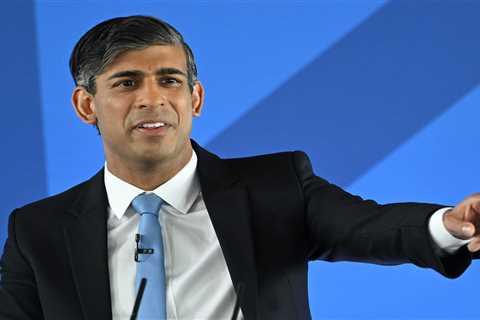 Rishi Sunak vows to halve migration in manifesto launch