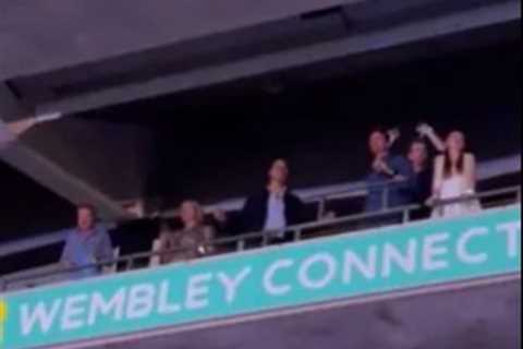 Prince William Shows off His Best Dad Dancing at Taylor Swift Concert