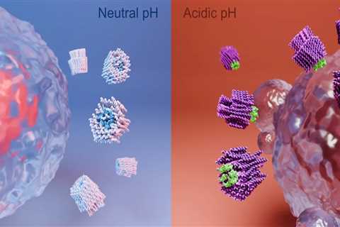 Nanorobots with 'Lethal Weapons' Eradicate Cancer Cells, Scientists Claim