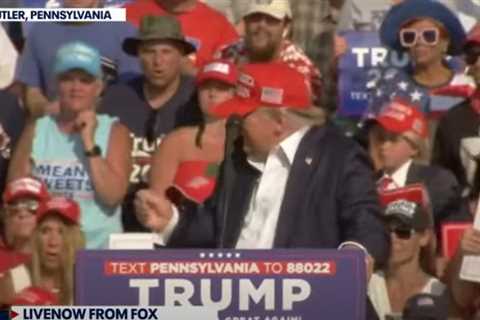 Donald Trump Raises Fist and Demands 'Let Me Get My Shoes' During Rally Shooting