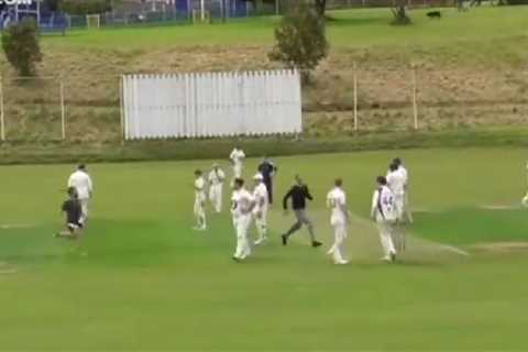 Watch as fans invade cricket pitch with bat and ball to fight as dog chases pair round in front of..
