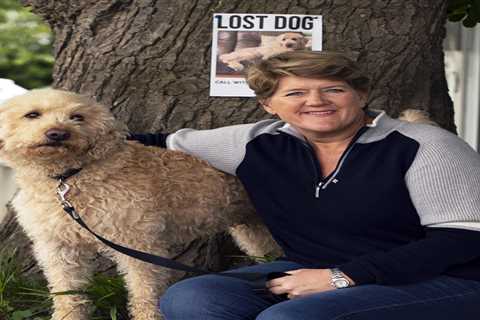 Clare Balding's Channel 5 Dog Show Gets a Makeover