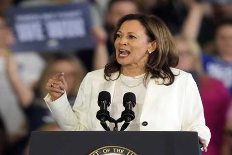 Moment Kamala Harris confronts anti-Israel protesters at campaign rally