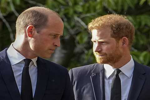 Prince William Reportedly Does Not Want Prince Harry at His Coronation