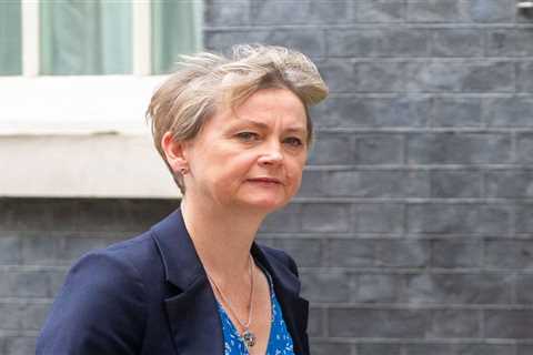 Home Secretary vows to deport over 14,000 illegal immigrants within six months