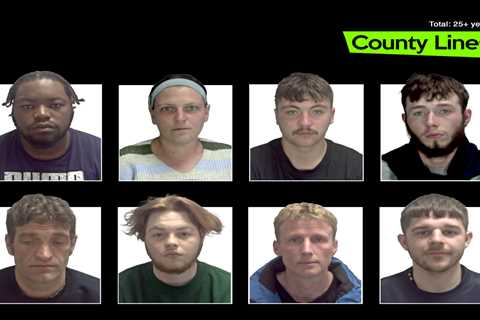 Norwich Crime Gang: The Lewis Line Unveiled