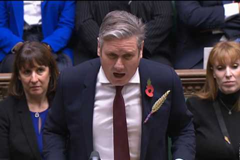 Why do MPs wear a wheat sheaf? Meaning explained