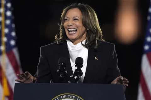Kamala Harris slams Donald Trump in closing election speech