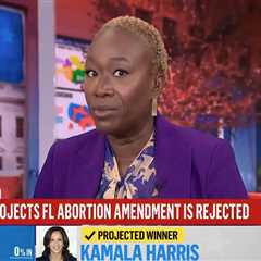 News anchor Joy Reid sparks controversy after live TV meltdown over Florida abortion amendment