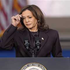 Democrats in Disarray: Blame Game Erupts Over Kamala Harris' Defeat