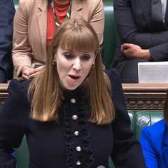 Angela Rayner Dismisses Family Farm Tax Fears Amid Tory Criticism