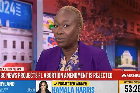 News anchor Joy Reid sparks controversy after live TV meltdown over Florida abortion amendment