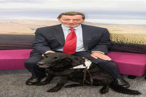 Former Home Secretary David Blunkett demands safety improvements at tube stations after terrifying..