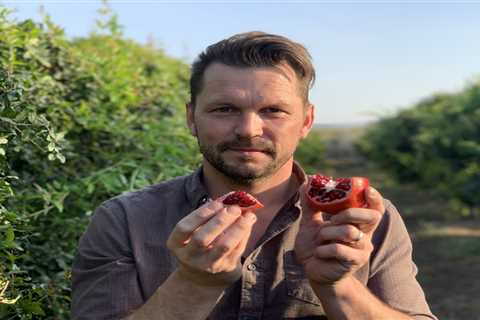 Jimmy Doherty defends farm after Christmas fair chaos