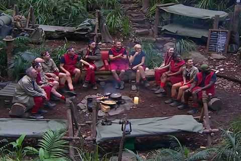 I'm a Celebrity stars horrified as camp is infested by rats and toads after heavy rain