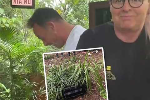 Ant and Dec reveal behind the scenes I’m A Celeb secret after confusing fans