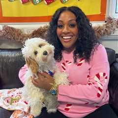 Alison Hammond Faces Backlash from For the Love of Dogs Viewers