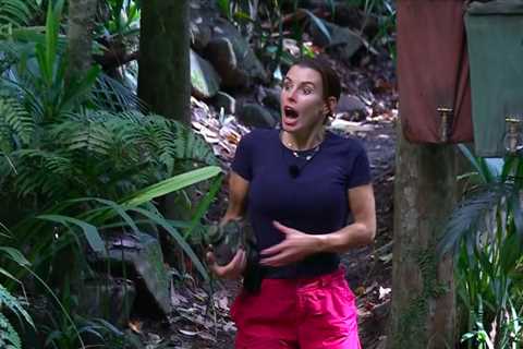 I'm A Celeb's Fans in Hysterics as Coleen Rooney's Son Makes Cheeky Comment About Her During..