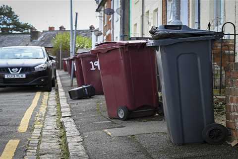 Labour's New Bin Rules Could Lead to Rotting Rubbish and Soaring Council Tax Bills