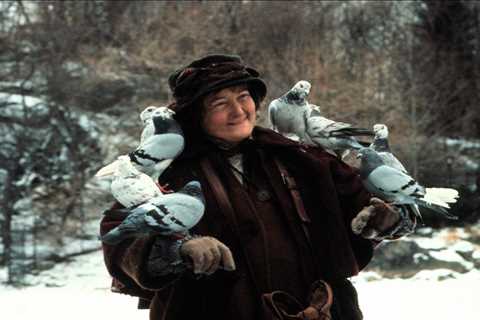 Was the Pigeon Attack in Home Alone 2 Real?