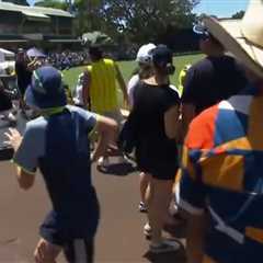 Watch cricket fan’s outrageous one-handed catch in Women’s Ashes match… while managing not to spill ..