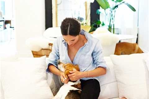 Meghan Markle's Heartfelt Tribute to Beloved Dog Guy: Unseen Family Footage Released