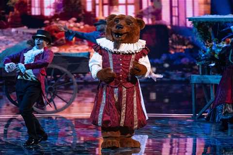 Masked Singer Fans Speculate Bear's True Identity