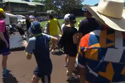 Watch cricket fan’s outrageous one-handed catch in Women’s Ashes match… while managing not to spill ..